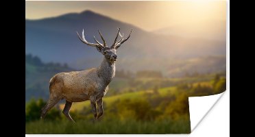 Poster Hert - Berg - Gras - Zonsondergang - Dieren - Natuur - 30x20 cm
