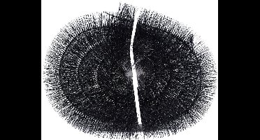 Meuwissen Agro Dakgootegel - 12 x 400 cm - Beschermt de dakgoot - Geen verstoppingen - Bladborstel