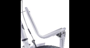 Alpina Voordrager 22 Clubb frosty pink matt