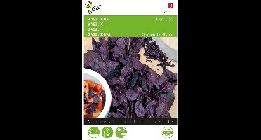 Buzzy® Basilicum Rode - Dark Opal