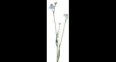 Nova nature - Freesia spray blue 76 cm kunstbloem