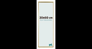 Your Decoration - Fotolijst 20x60 cm - Kunststof - Goud - Evry