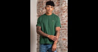 Lacoste Cotton t-shirt - green