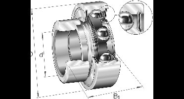 INA Insertlager - RALE25-XL-NPP