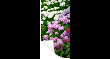 Muurstickers - Sticker Folie - Levendige hortensia bloemen - 20x40 cm - Plakfolie - Muurstickers Kinderkamer - Zelfklevend Behang - Zelfklevend behangpapier - Stickerfolie