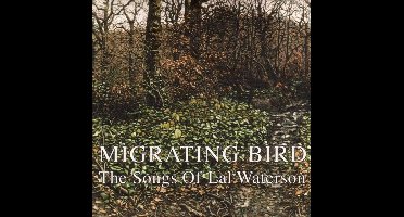 Migrating Bird