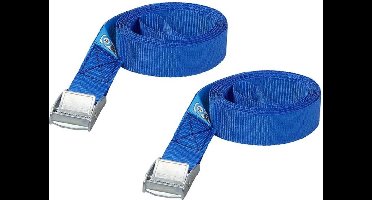 ProPlus Spanband met snelsluiting - 25 mm breed - 2,5 meter lang - set van 2 - blauw