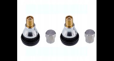 Chromen Ventielen Set voor Velgen (2 stuks)