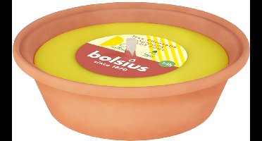 Bolsius Vlamschaal 230/60 Citronella (1 stuk)