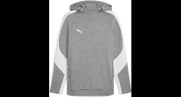 Puma Hoodie TeamEVOSTRIPE Hoody 659954 Medium Gray Heather-Puma Silver-Puma White-S