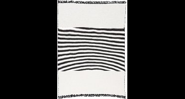 Pergamon Tapijt Dubbelzijdig Ethno Kelim Lijnen