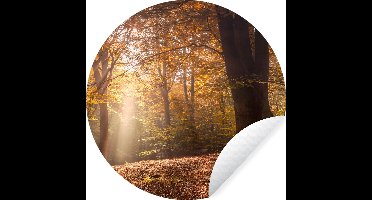 Behangcirkel - Bos - Herfst - Bladeren - Natuur - Zelfklevend behang - Rond behang - Behangsticker - Wanddecoratie rond - Muurdecoratie cirkel - Woonkamer decoratie - 30x30 cm - Wandcirkel - Muurcirkel - Slaapkamer