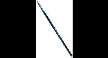 PXP Penseel spits nr 2