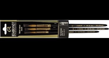 Penselen set serie 110 nrs 6-10-12 FSC aquarel waterverf aquarelverf