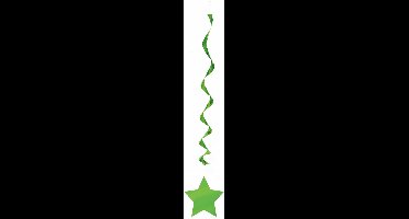 Haza Original Swirlslingers Met Ster Groen 60 Cm 3-stuks