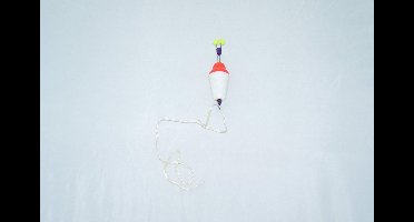 Waker - Hanger - Karper - Snoek - Vissen