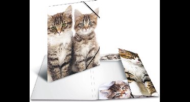 HERMA 7138 map Polypropyleen (PP) Multi kleuren A4