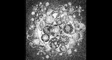 Long Distance Calling