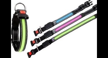 Flamingo Halsband  O'Led  - Groen -  36 CM