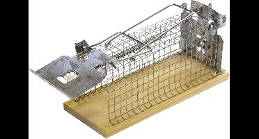 Swissinno Classic Muizenkooi