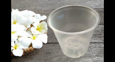 10 x Plastic Orchidee pot ( Transparant ) - ø 12cm