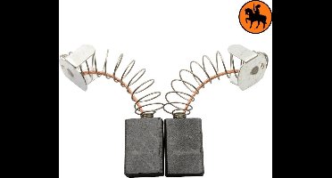 Koolborstelset voor Flex  LW1202 S - 6x13x19mm