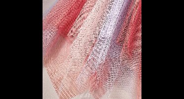 Tutu Vlinder - 5-7 jaar