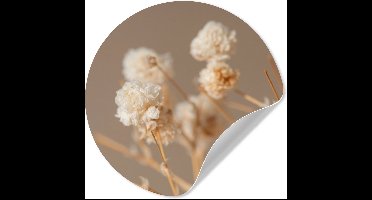 WallCircle® - Behangcirkel 30x30 cm - Muurstickers Bloemen - Wit - Natuur - Pastel - Muurcirkel woonkamer - Wandcirkel slaapkamer - Kamer decoratie zelfklevend - Muurdecoratie accessoires