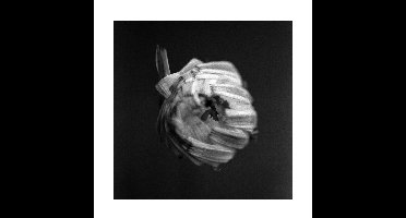 A Swarm Of The Sun - An Empire (2 LP)