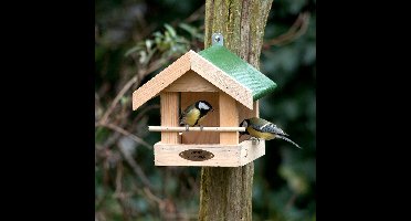 CJ Wildlife Vogelvoederhuisje voor Kleine Vogels & Tuinvogels - Amazone - Voederhuis van Hout - Voederhuisje Wandmodel - Bruin