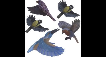 Gardigo Stickers Native Birds Raamsticker Functies: Afschrikking 1 stuk(s)