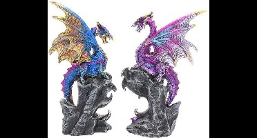 Nemesis Now Realm Protectors - 2 beeldjes Unisex beeld - meerkleurig - Standard