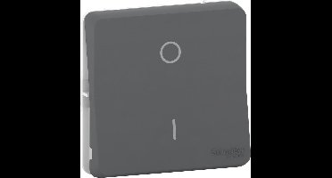 Tweepolige schakelaar - Modulair - Antraciet - Mureva Styl - Schneider Electric - MUR35034