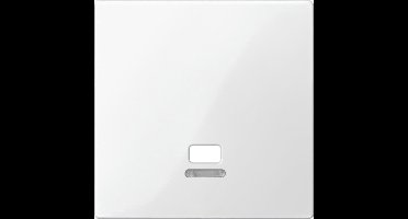 Inzetstuk Trekschakelaar Controlevenster - Polarwit - Systeem M - Schneider Electric - MTN3380-0319