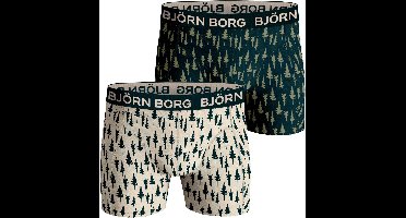 Björn Borg - Heren Onderbroeken 2-Pack Kerst Giftbox - Multi - Maat S