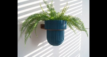 STERKSTAEL Eco Pot Flora M Petrol Green – bloempot voor aan de wand – bloempot voor binnen – zwevende bloempot – bloempotten binnen – plantenbak - diameter 15 cm – kleur pot Donkergroen – kleur houder Cortenstaal