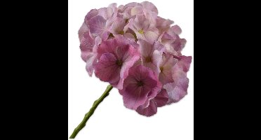 Silk-ka Kunstbloem-Zijden Bloem Hortensia Steel Roze-Rood 51 cm