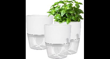 Keukenkruidenpotset- driedelige zelfbewaterende set voor op de vensterbank- afmetingen 18-3 x 11 x 15-2 cm- wit- geschikt voor het kweken van verse keukenkruiden.