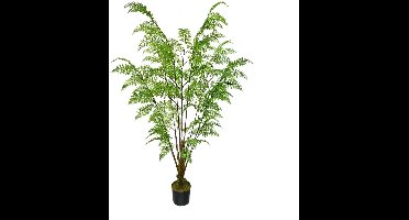 Kunstplant Varen in Pot - 180 cm
