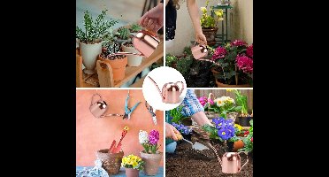 Stunq® 450 ml Gieter Kleine Kamerplanten, Mini Gieter van Metaal met Lange Tuit voor Kleine Kamerplanten in Binnenruimtes, Geschikt voor Thuis, Kantoor en Vetplanten.