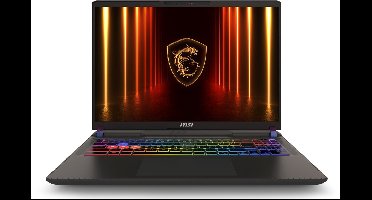 "MSI Vector 16 HX AI A2XWHG-674NL Intel Core Ultra 7 255HX Laptop 40,6 cm (16"") Quad HD+ 32 GB DDR5-SDRAM 1 TB SSD NVIDIA GeForce RTX 5070 Ti Wi-Fi 6E (802.11ax) Windows 11 Home Grijs"