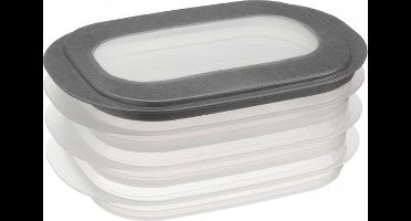 9x Vleeswarendoos voedsel bewaarbakjes transparant/grijs - Vleeswaren bakjes - Broodbeleg bewaardoos