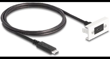 Delock Easy 45 Module SuperSpeed USB 10 Gbps (USB 3.2 Gen 2) USB Type-C™ female to USB Type-C™ male with pigtail, 22,5 x 45 mm