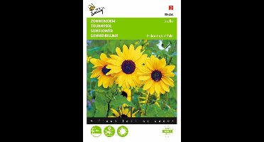 Zonnebloem Stella kleinbloemig - Helianthus debilis