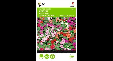 Vlijtig liesje Nana Baby - Impatiens walleriana