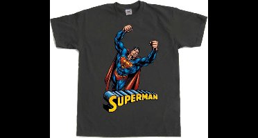 DC Comics Superman Heren Tshirt -S- Flying Grijs