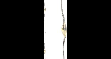 Micro strengverlichting op batterij 20led 95cm klassiek warm | Lumineo 481770