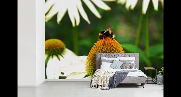 Fotobehang vinyl - Hommel bezig met het verzamelen van nectar breedte 360 cm x hoogte 240 cm - Foto print op behang (in 7 formaten beschikbaar) - slaapkamer/woonkamer/kantoor