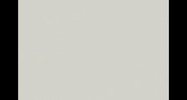 Tekenpapier Folia A4 l.grijs - 130gr pak 100 vel