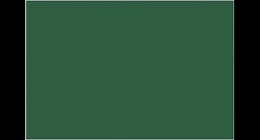 Etalagekarton Folia donkergrn - 48x68cm 380gr pak 10 vel